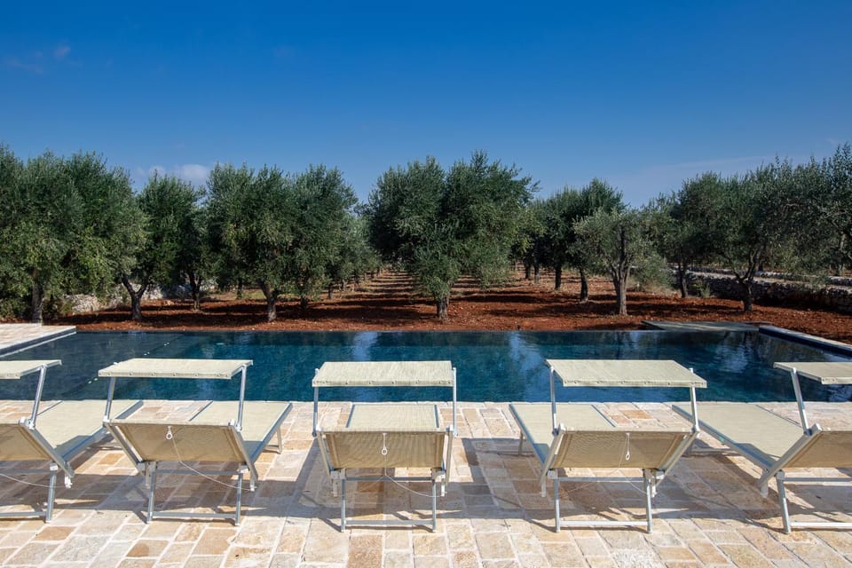 Pool view, Swimming pool, Swimming pool, sunbed