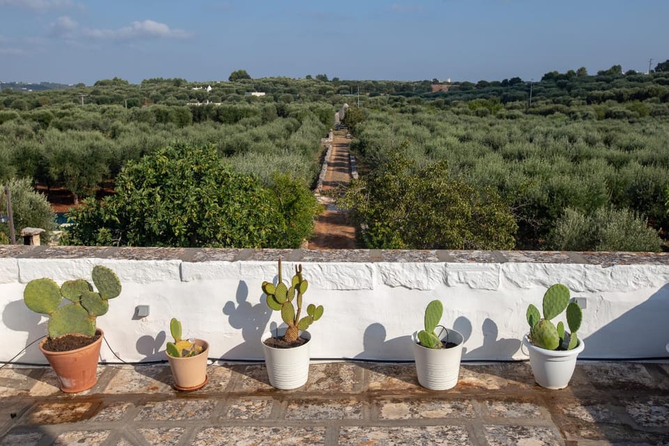 Balcony/Terrace, Garden view