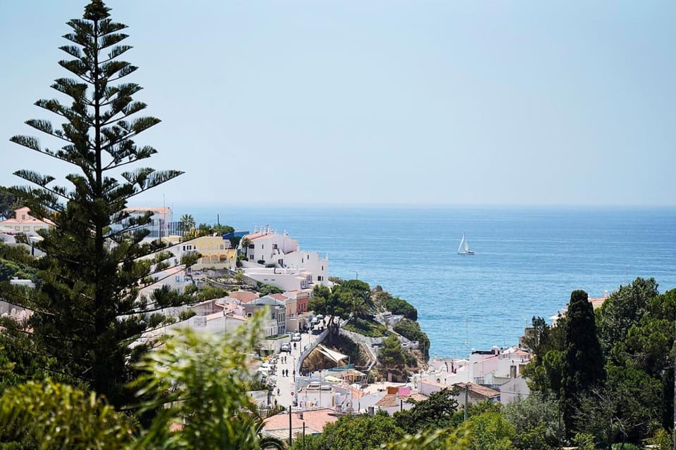 Neighbourhood, Natural landscape, Sea view