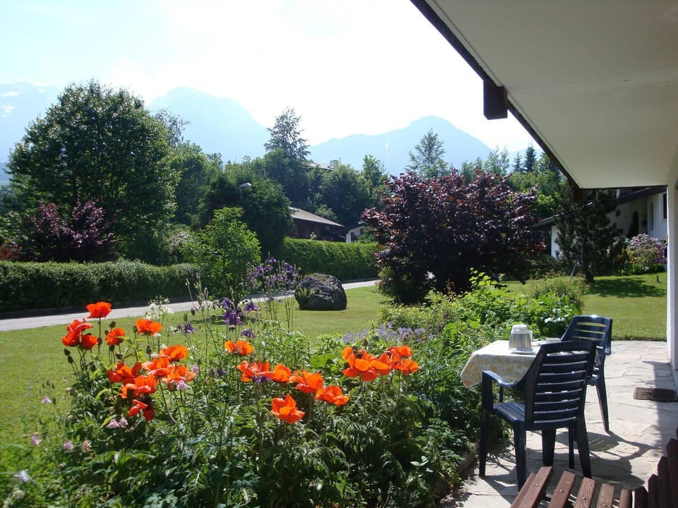 Garden, Garden view, Mountain view
