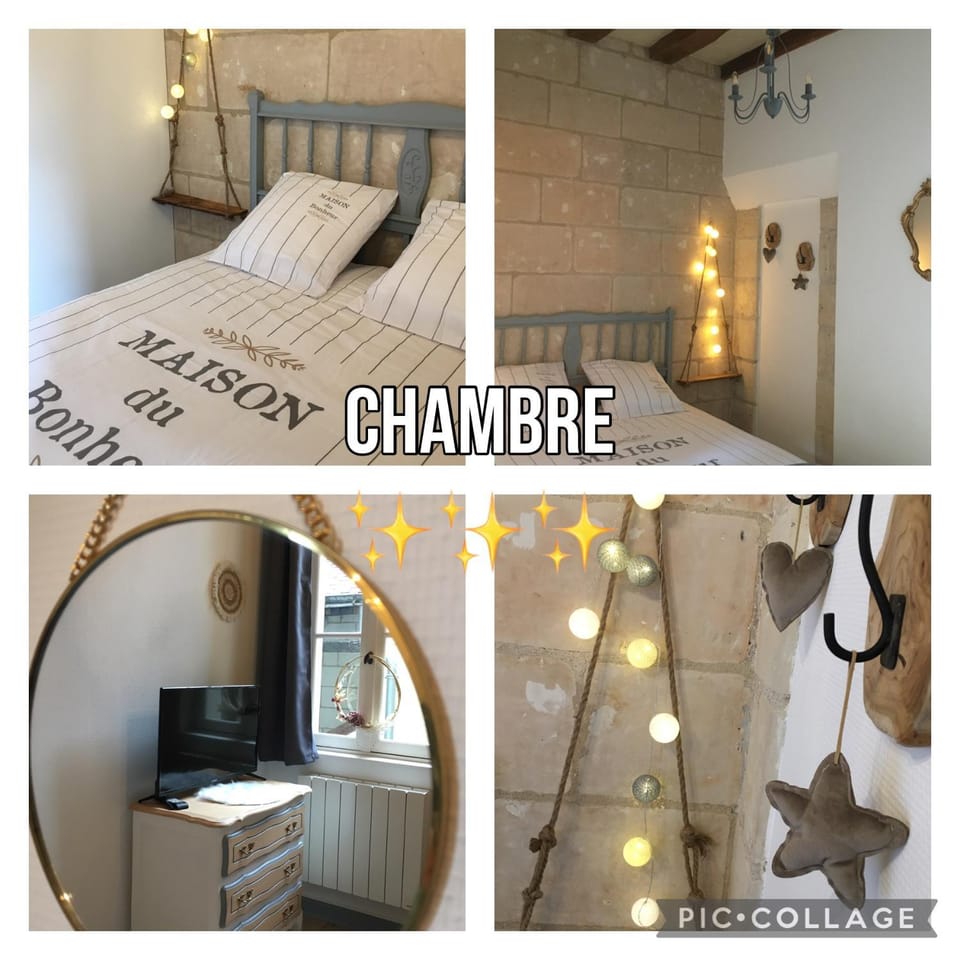 Vieux Tours, Charmant T2 40m2, 4 pers, lumineux Apartment in Saint-Cyr-sur-Loire