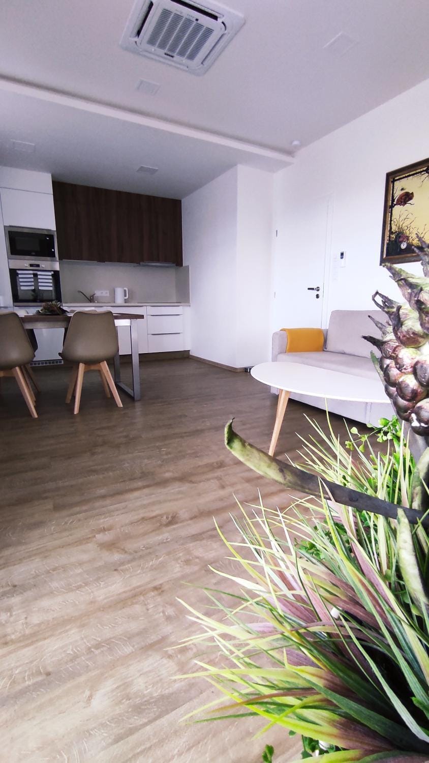 Living room, kitchen