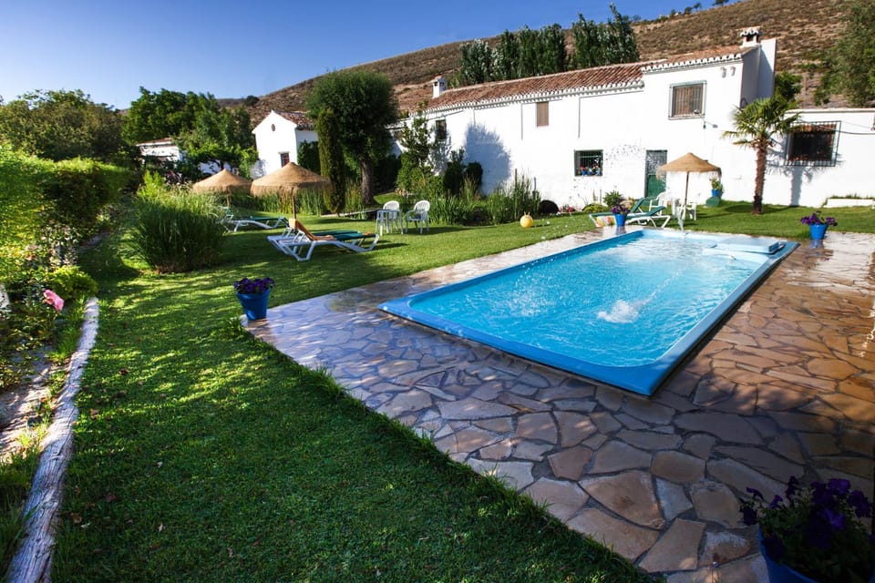 Garden, Swimming pool