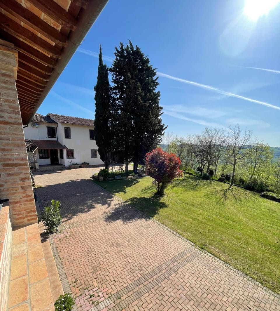 Spring, Day, Garden view