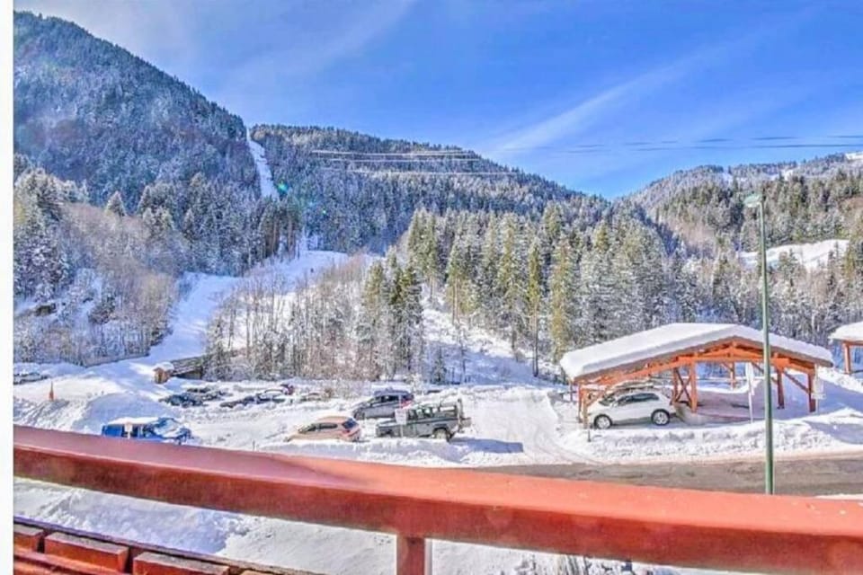 Morzine 2 pièces aux pieds des pistes avec Wifi Apartment in Morzine