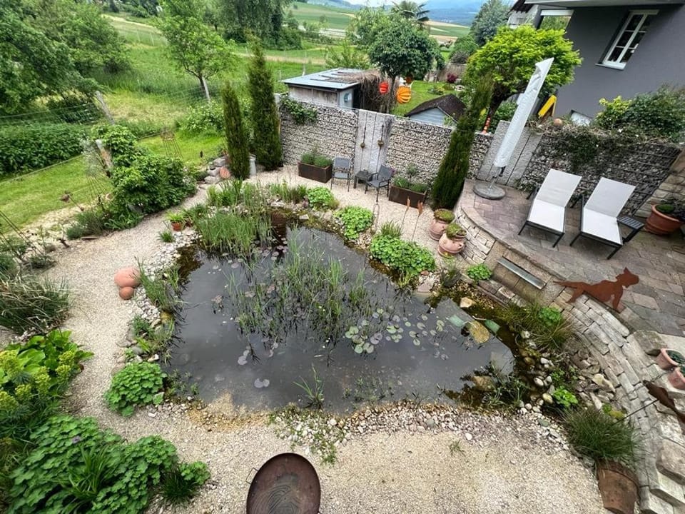 Natural landscape, Garden view