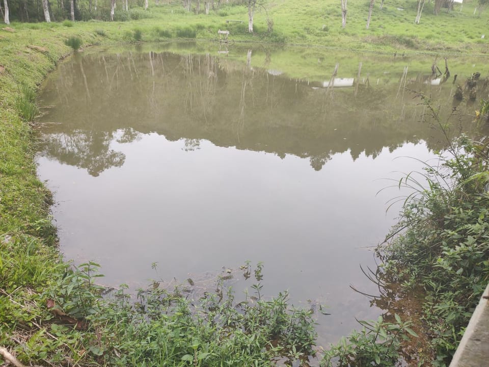 Lake view
