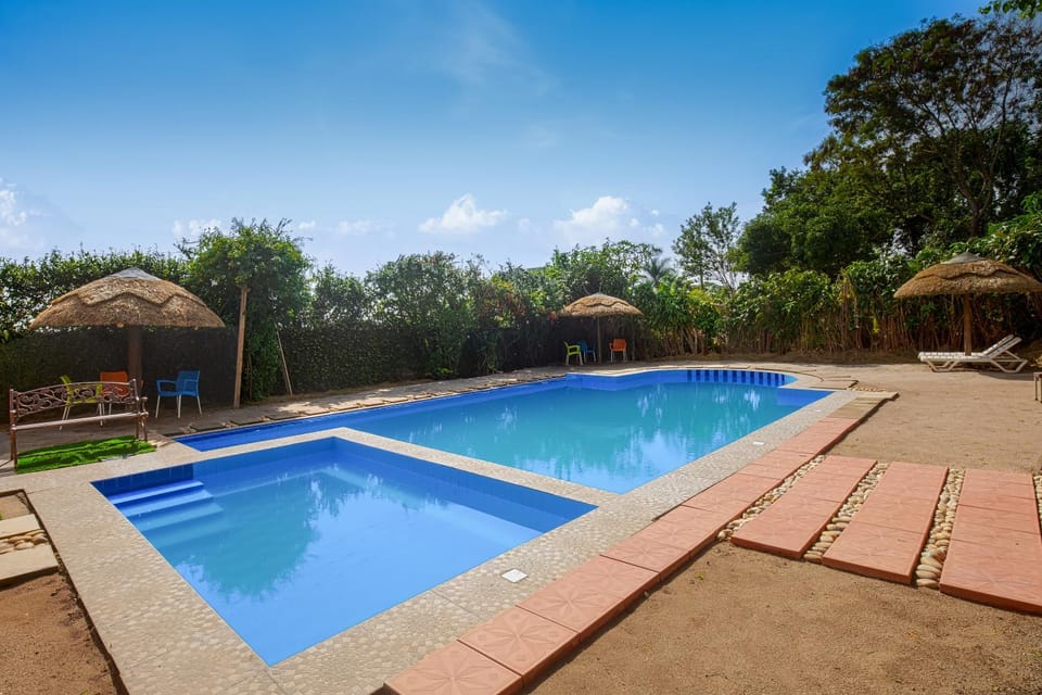 Swimming pool, Swimming pool