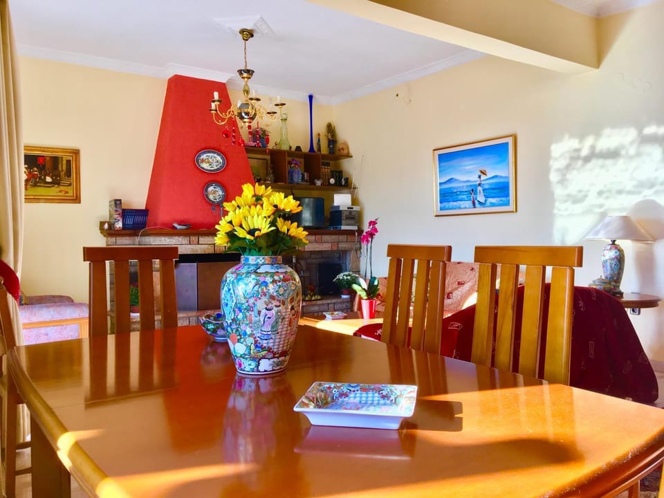 Delphi celebrity v i p the navel of the Earth, CENTER-DELPHI-penthouse galaxy&sky panoramic view, harmony&YOGA Apartment in Peloponnese, Western Greece and the Ionian