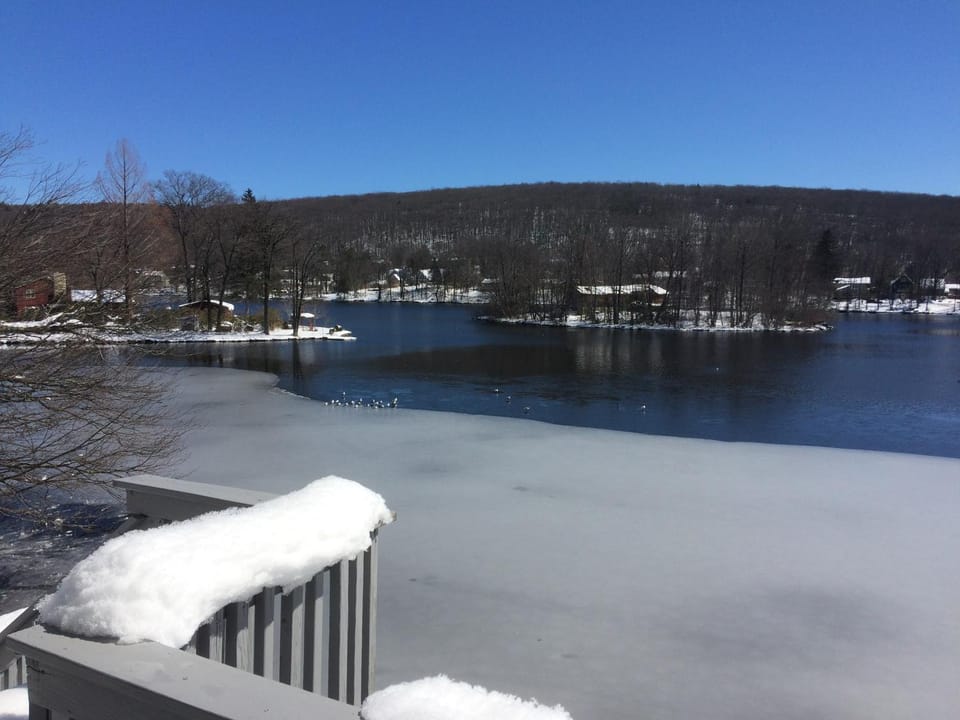 Lake view