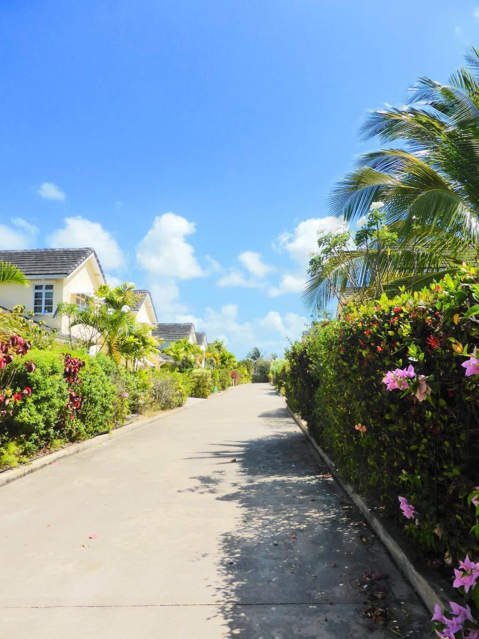 Day, Neighbourhood, Natural landscape, Street view