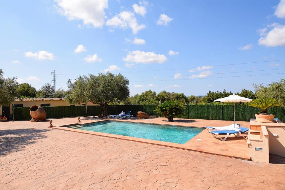 Patio, Garden, Garden view, Swimming pool