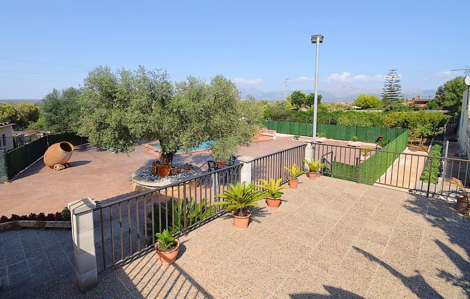 Patio, Off site, Day, Natural landscape, Garden, Balcony/Terrace, Garden view, Pool view, Swimming pool, Swimming pool