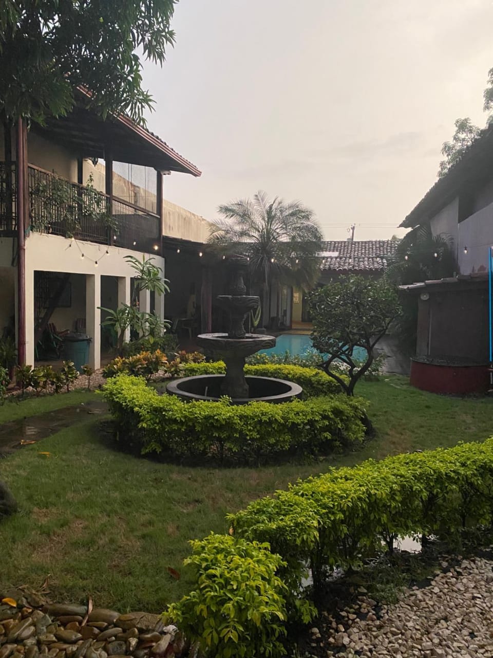 Garden view