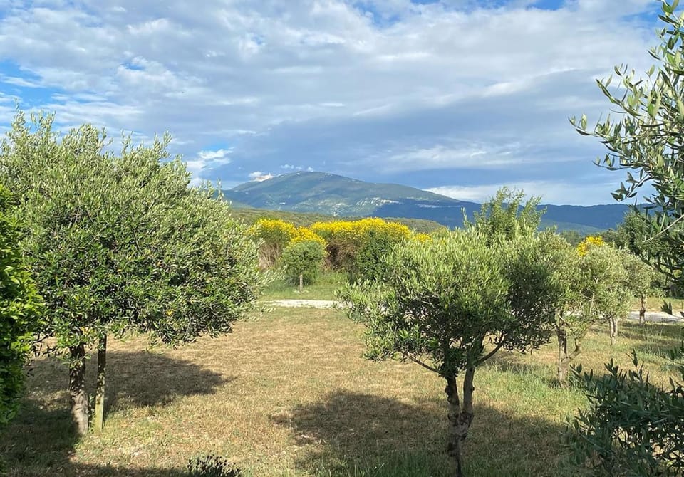 Mountain view