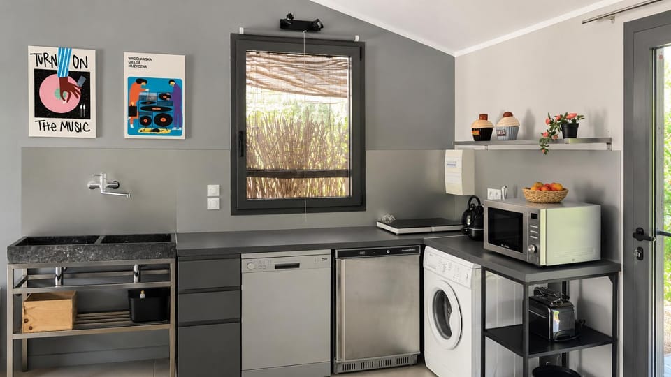 Kitchen or kitchenette, dishwasher, microwave, toaster, washing machine, kitchen