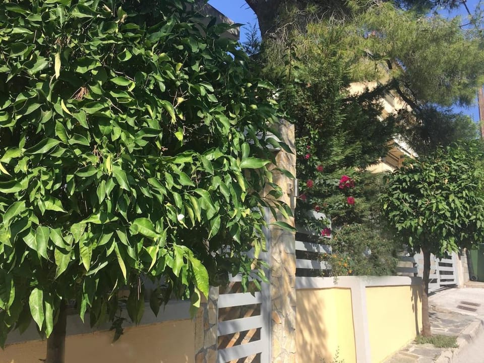 ELIAS APARTMENT Apartment in North Athens Regional Unit, Greece