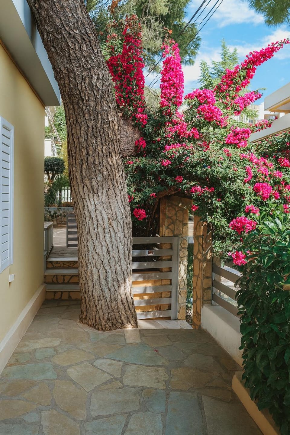 ELIAS APARTMENT Apartment in North Athens Regional Unit, Greece