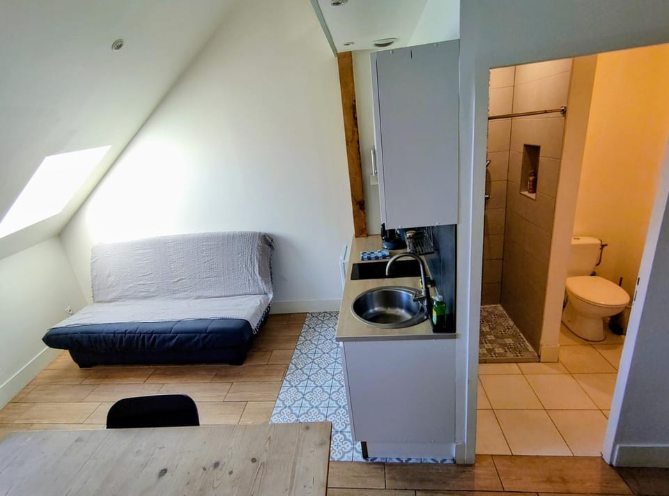 Toilet, Bathroom, Kitchen or kitchenette, Living room, Seating area