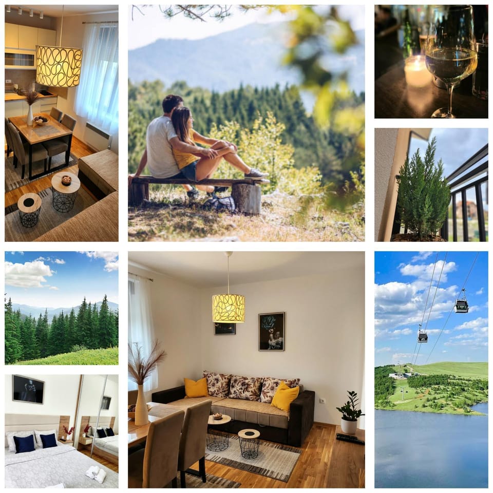 Apartman Stojanović Zlatibor Apartment in Zlatibor