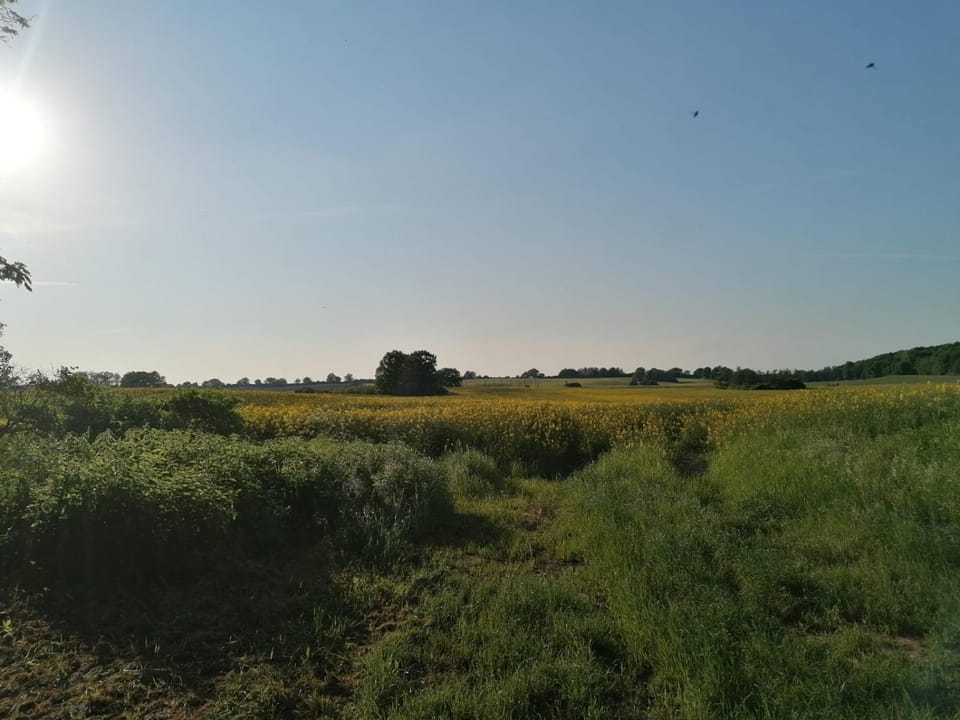 Spring, Day, Natural landscape