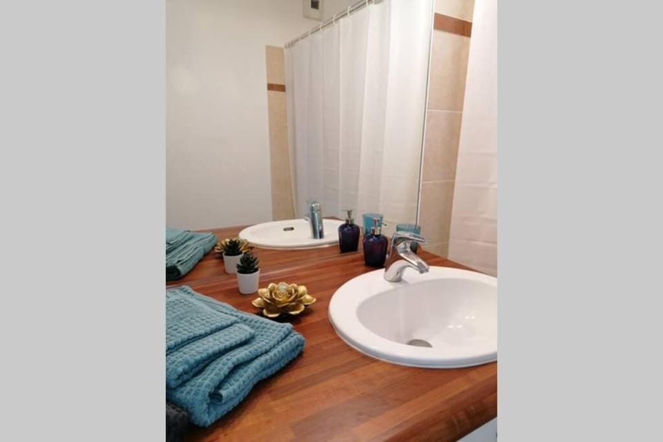 T2 entier - Hyper centre - Cosy home Apartment in Occitanie