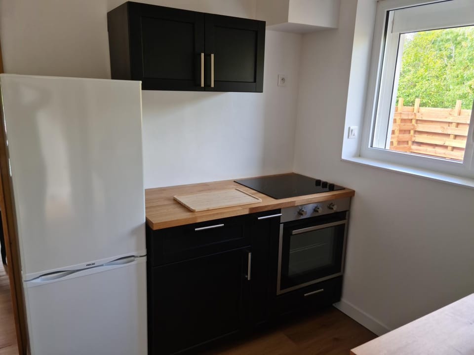 Kitchen or kitchenette, minibar, pet friendly, stove