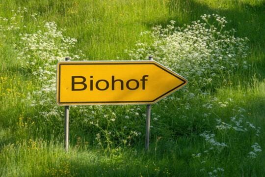 Biohof - Ferienwohnung Alphüttli Vacation rental in St. Gallen, Switzerland