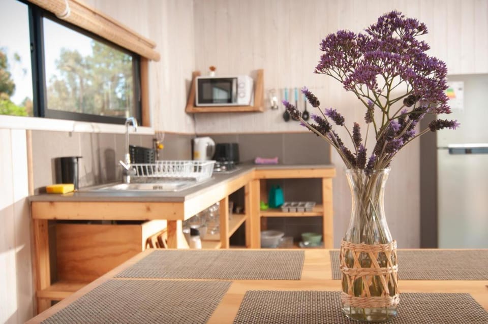 7 Olas lodge House in Santiago Metropolitan Region
