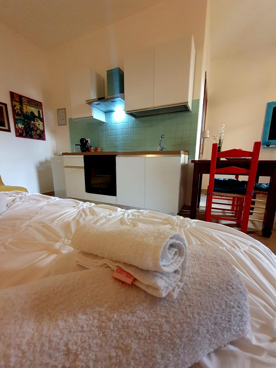 Bed, Kitchen or kitchenette, Photo of the whole room, Bedroom, minibar, pet friendly, stove