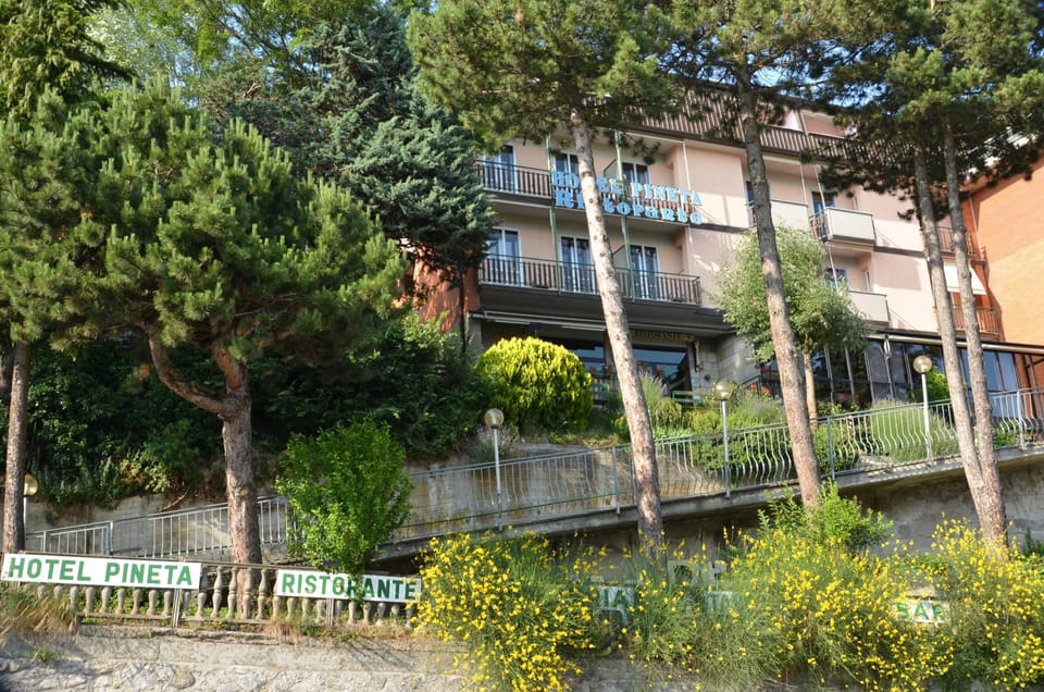 Hotel Pineta Hotel in Emilia-Romagna