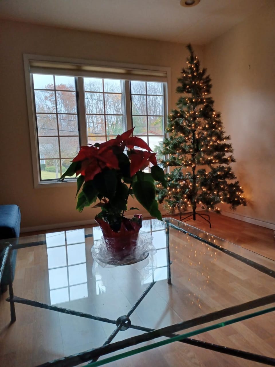 Cozy 4BR 3BA Home- Train to NYC, USOpen, CitiField Mets, MSG, Walk to Harbor & Golf House in Port Washington