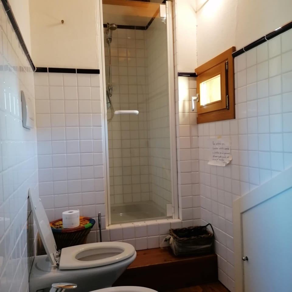 Shower, Toilet, Bathroom, bidet