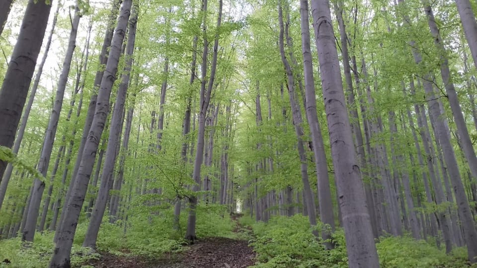 Off site, Natural landscape