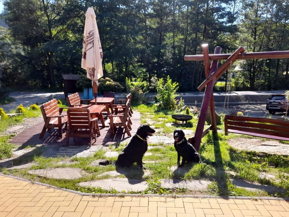Garden, Seating area, Pets
