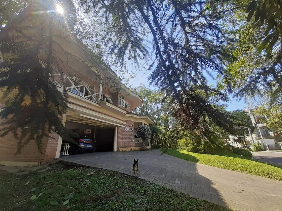 Property building, Day, Street view