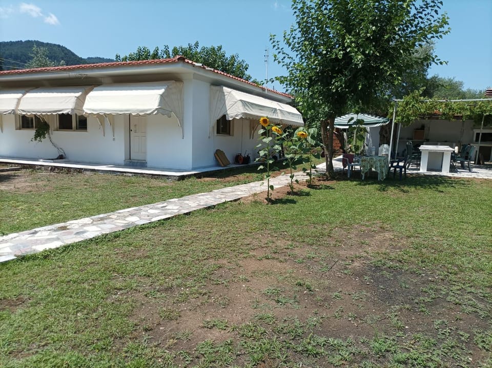 Property building, Garden