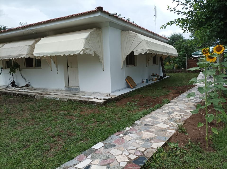 Property building, Facade/entrance, Garden