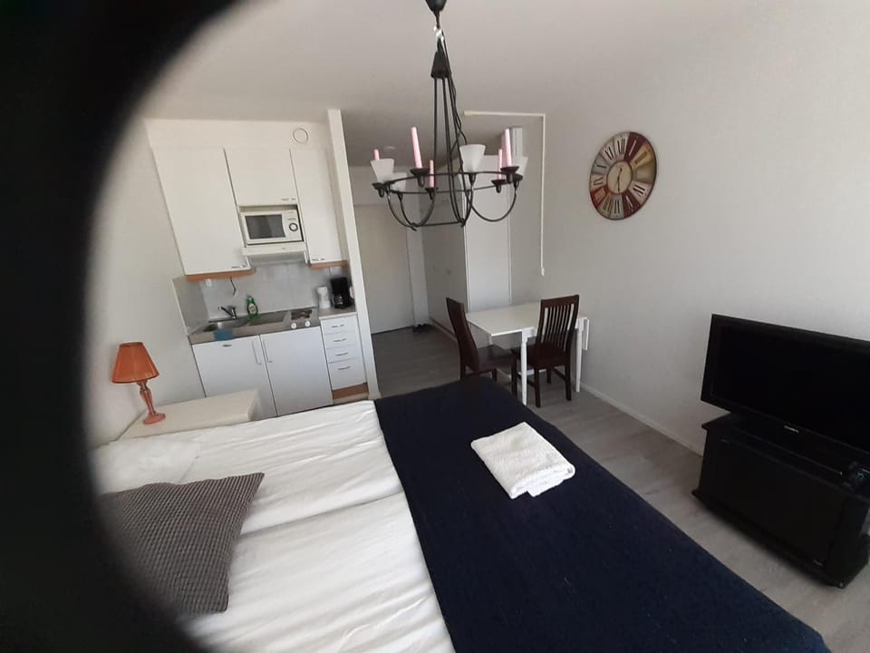 Kitchen or kitchenette, kitchen