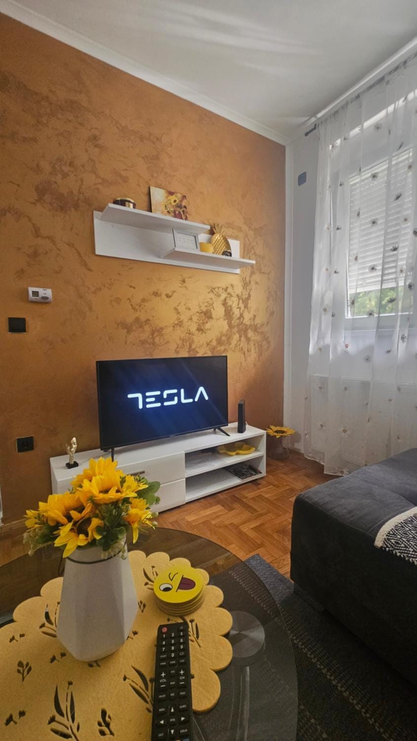 APARTMAN SUNFLOWER Apartment in Vojvodina