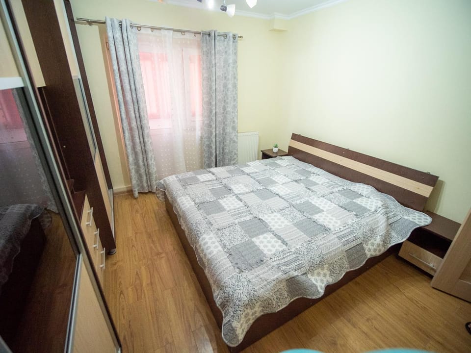 L&R Modern Apartment Apartment in Timiș County
