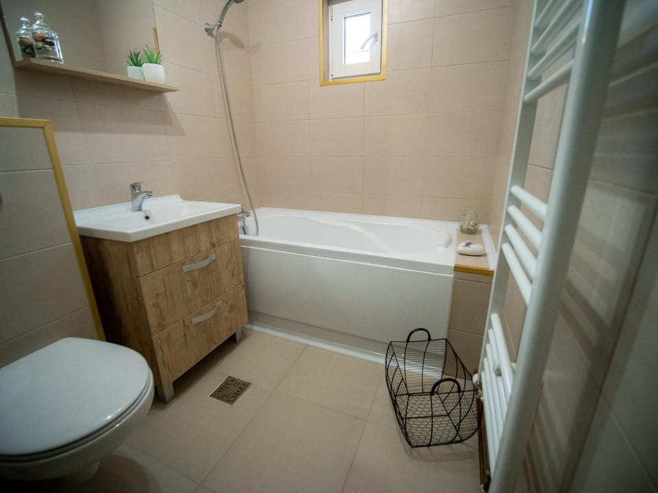 L&R Modern Apartment Apartment in Timiș County