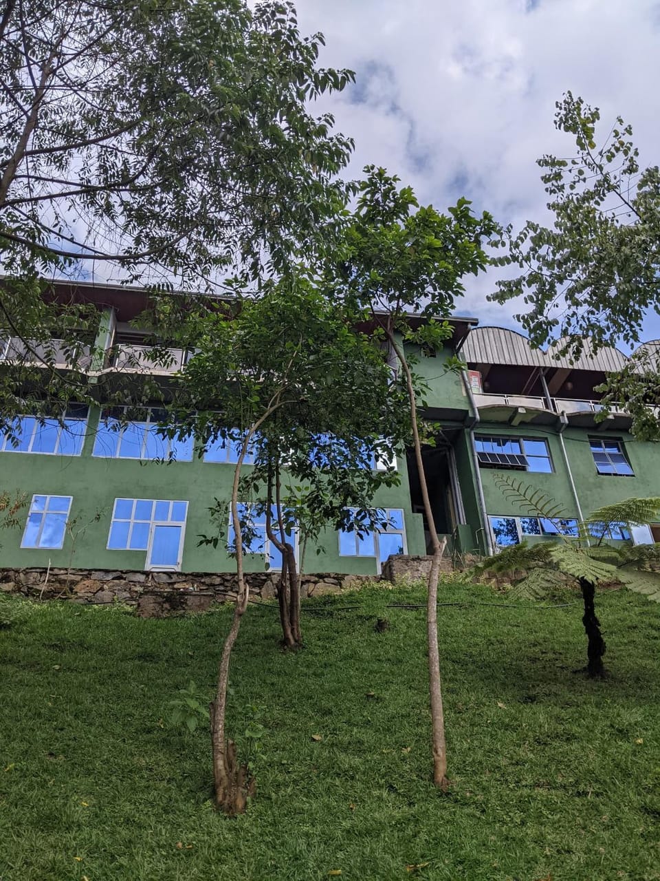 Garden view