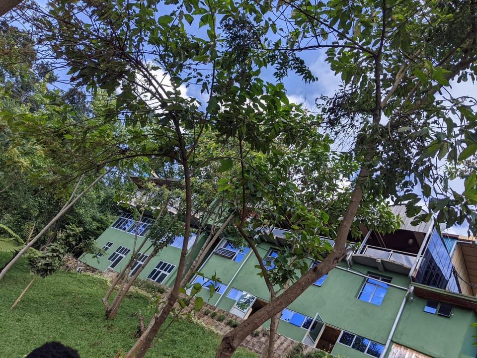 Garden view