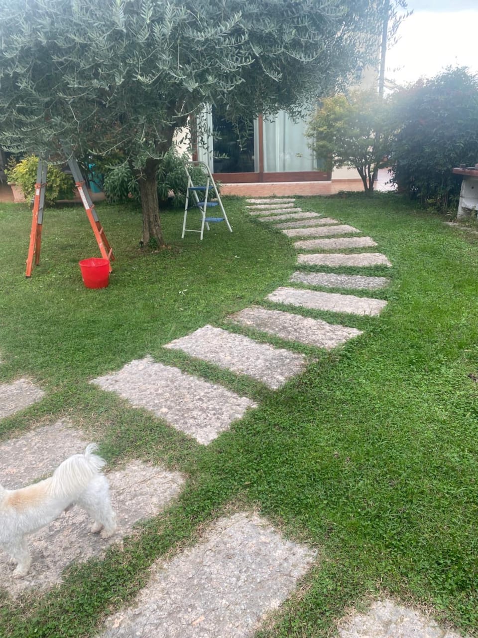 Da Nenna Bilocale indipendente Bed and Breakfast in Lake Garda