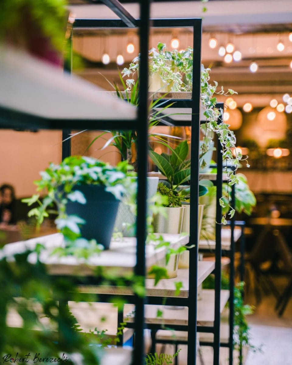 Restaurant/places to eat, Banquet/Function facilities, Breakfast