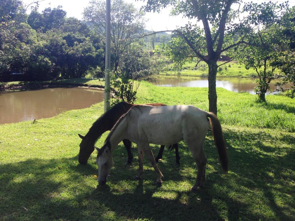 Natural landscape, Horse-riding, Lake view, River view