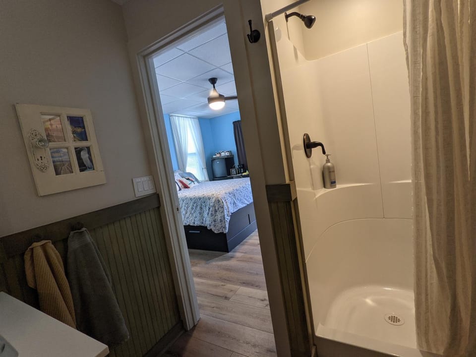 Bathroom, Living room