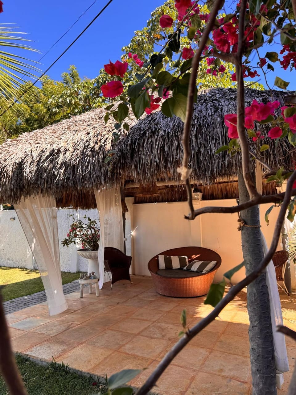 Patio, Day, Garden, Garden view