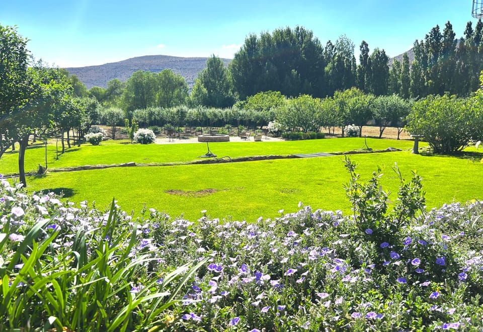 Garden, Garden view